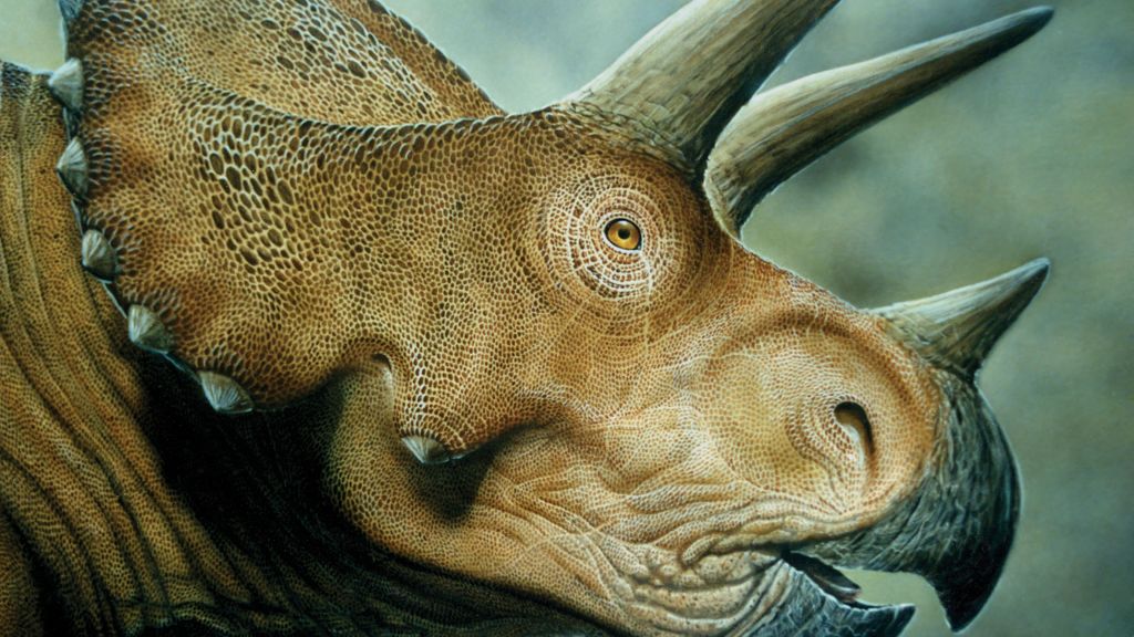Трицератопс, Динозавры, Мир Юрского Периода, Арт, HD, 2K, 4K