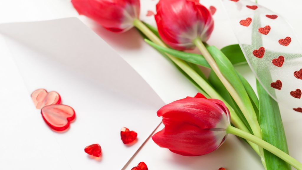 Тюльпан, Весна, Цветок, Красный, Сердце, HD, 2K, 4K