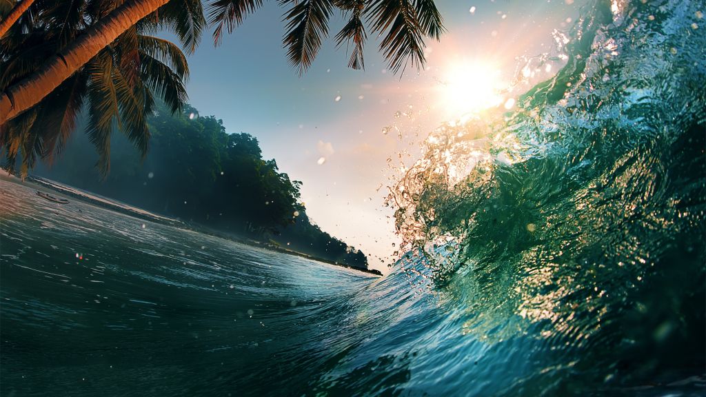 Волна, Океан, Пальмы, Солнце, HD, 2K, 4K