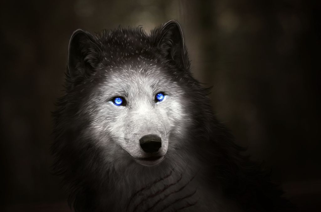 Волк, Голубые Глаза, Цифровое Искусство, HD, 2K