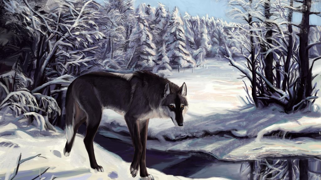 Волк, Зима, Озеро, Взгляд, Серый, Белый, Лес, В Одиночестве, Арт, HD, 2K, 4K