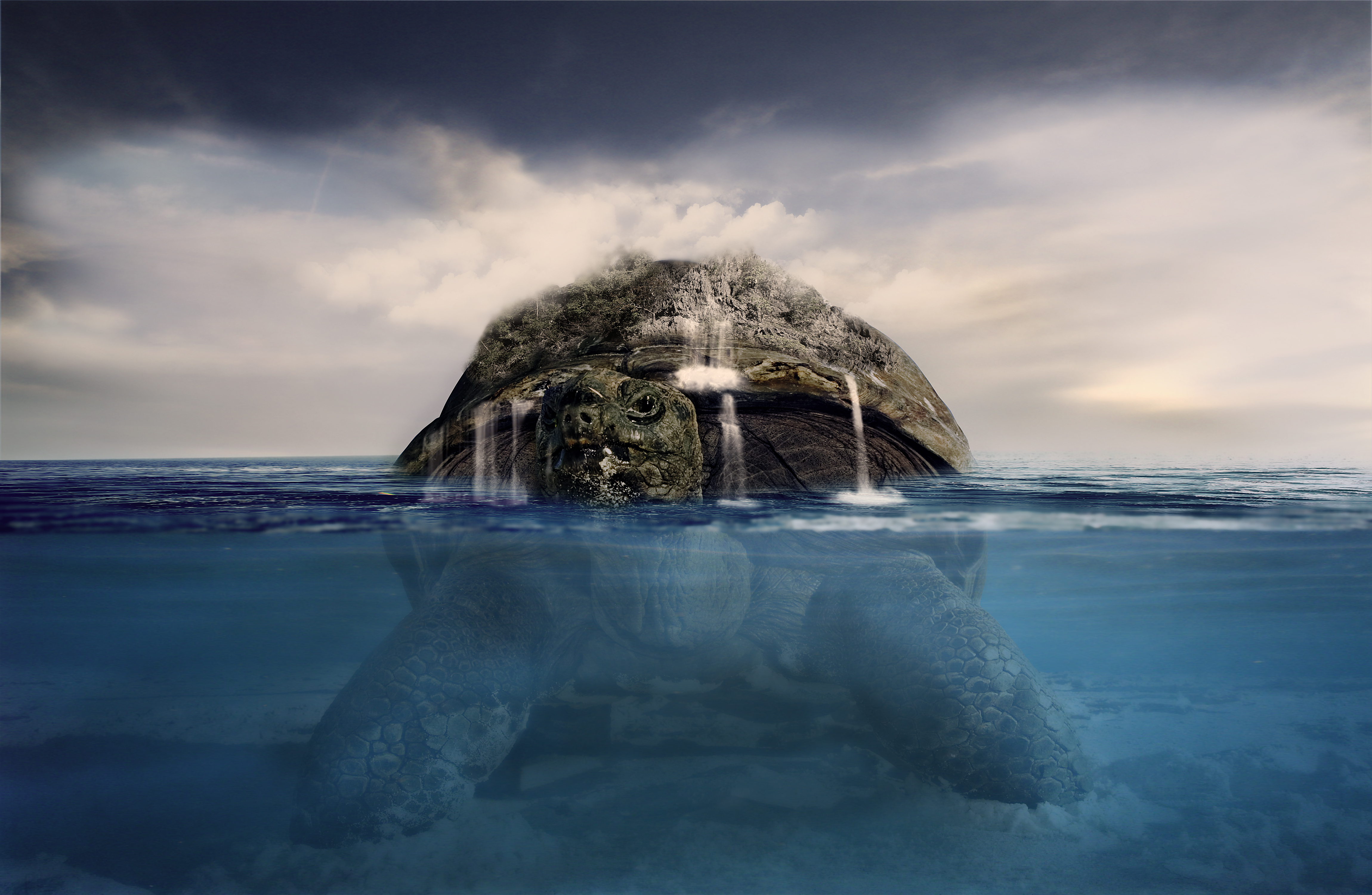 Остров человек в океане. Черепаха и остров. Остров в виде черепахи. Остров под водой. Океан в разрезе.