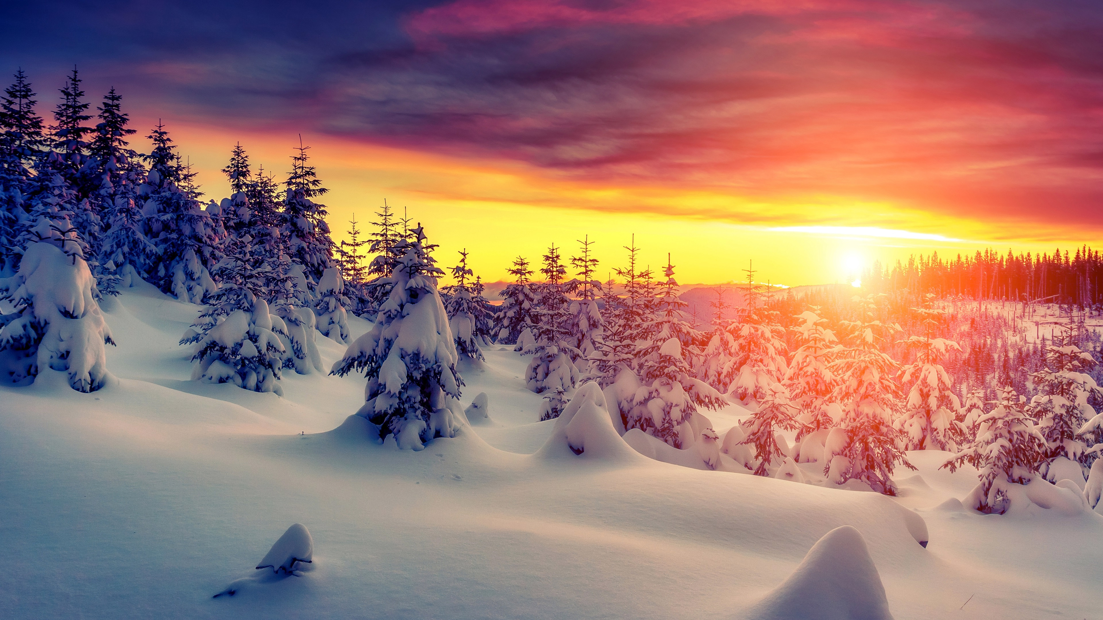 Best winter. Зимний закат. Зимний пейзаж. Снежный пейзаж. Зимний рассвет.